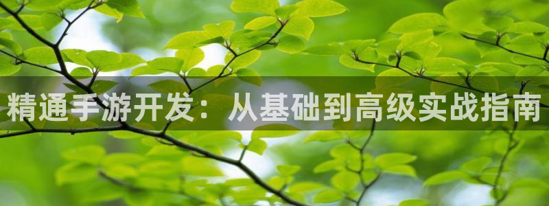 V8娱乐网：精通手游开发：从基础到高级实战指南