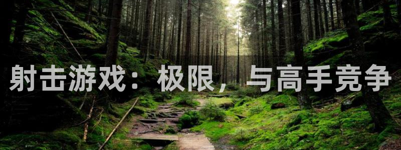 V8娱乐登录：射击游戏：极限，与高手竞争