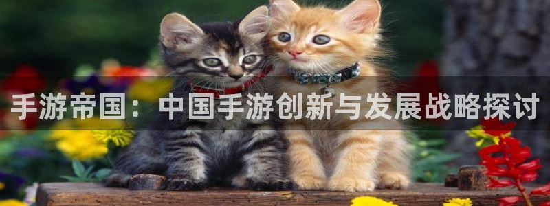 V8娱乐平台：手游帝国：中国手游创新与发展战略探讨