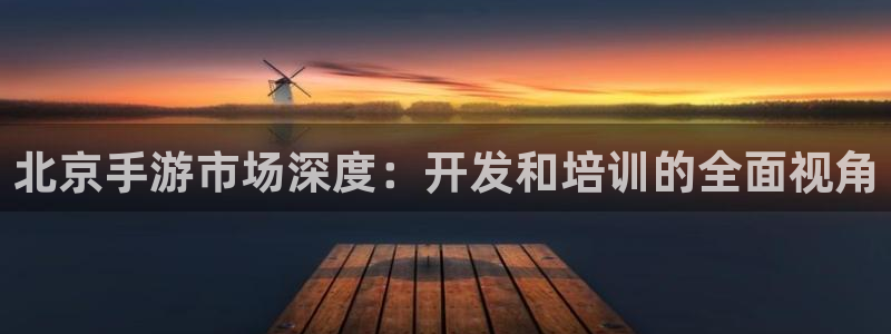 V8娱乐网：北京手游市场深度：开发和培训的全面视角