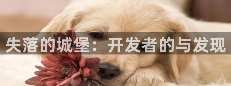 V8娱乐注册：失落的城堡：开发者的与发现