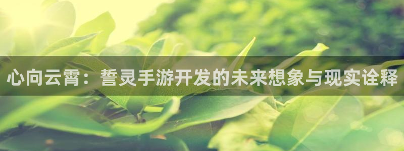 V8娱乐平台：心向云霄：誓灵手游开发的未来想象与现实诠释