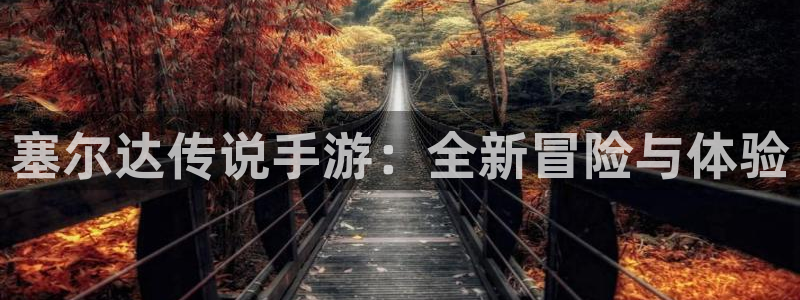 V8娱乐登录：塞尔达传说手游：全新冒险与体验