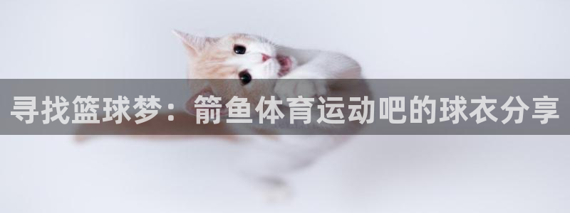 熊猫体育怎么样