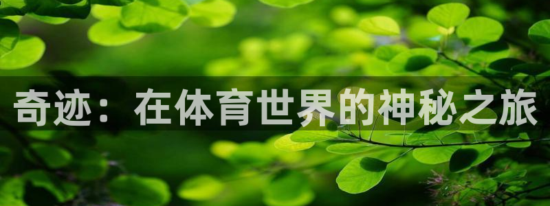 成都熊猫体育公园