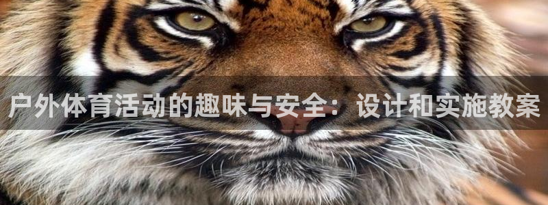熊猫体育平台