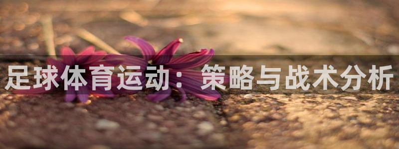 熊猫体育官网