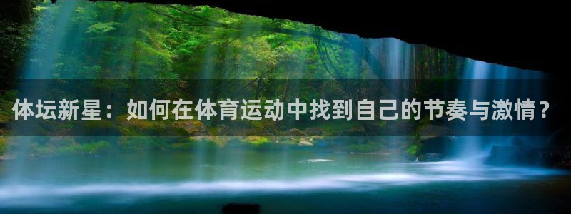 成都金熊猫体育