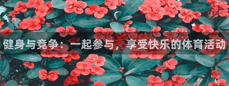 熊猫体育公园价格