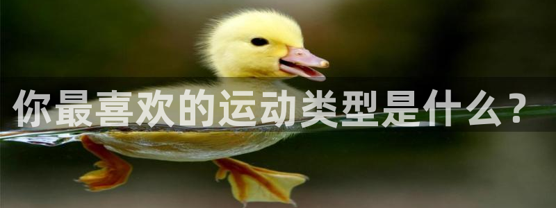 熊猫体育直播nba