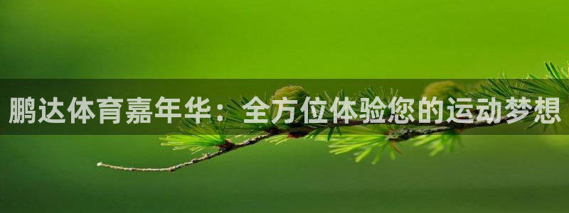 熊猫体育比赛直播