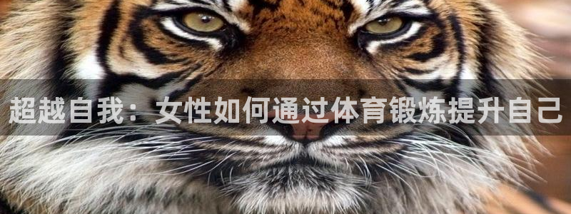 熊猫体育在线